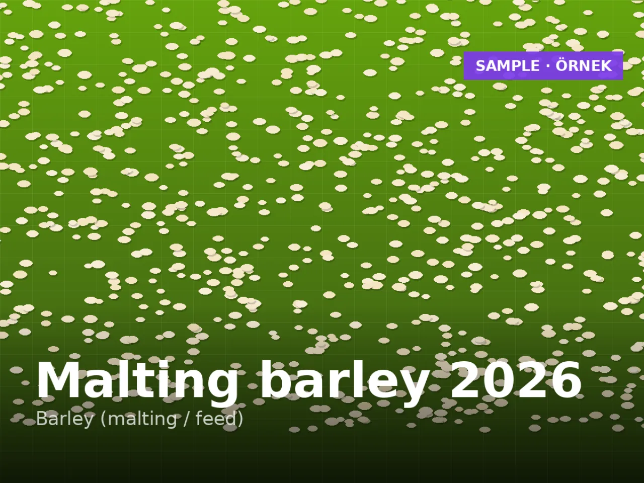 Maltlık arpa — 2026 hasat, çimlenme ≥ %95