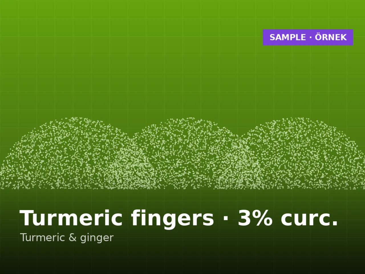 Turmeric fingers — Nizamabad, curcumin 3%+