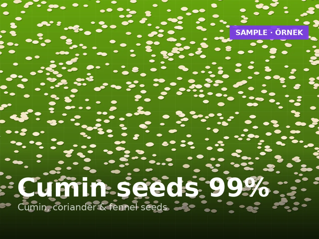 Cumin seeds 99% purity — Unjha