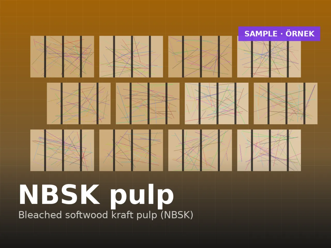 Northern bleached softwood kraft pulp (NBSK)